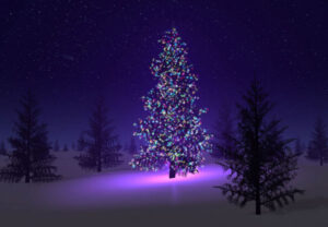 Read more about the article Free ISOCheck – Christmas Draw