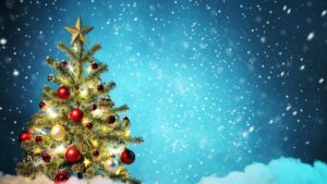 Read more about the article Christmas Is Coming!!!………